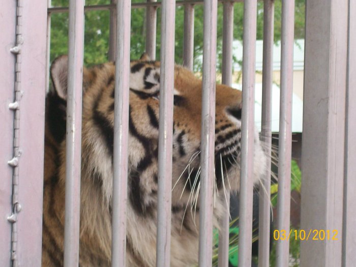 2012-Mar-10HGR4X4_4Wheelparts 012